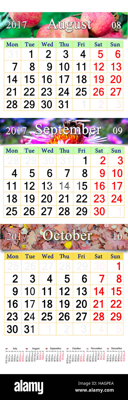 office calendar for three months June July and August 2017 with images ...