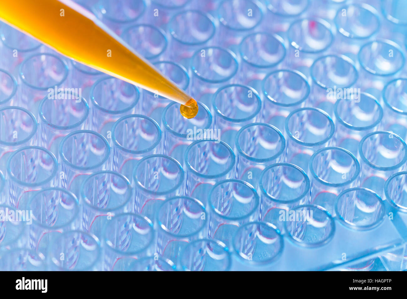 Pipette and 96 well plate Stock Photo