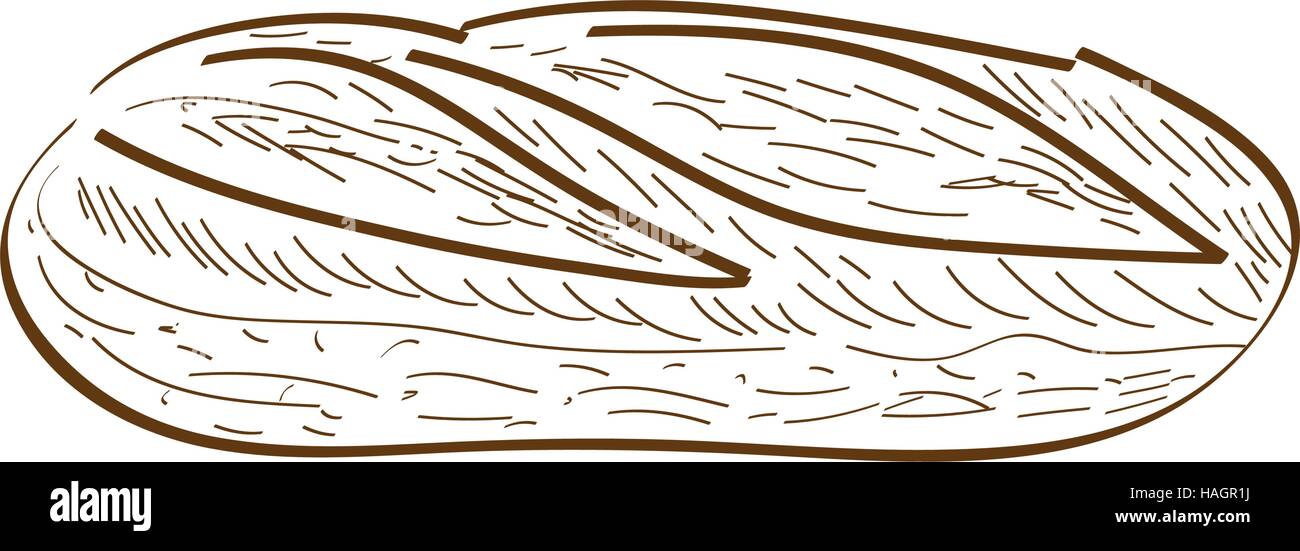 Isolated retro hand drawn bread, Vector illustration Stock Vector Image ...