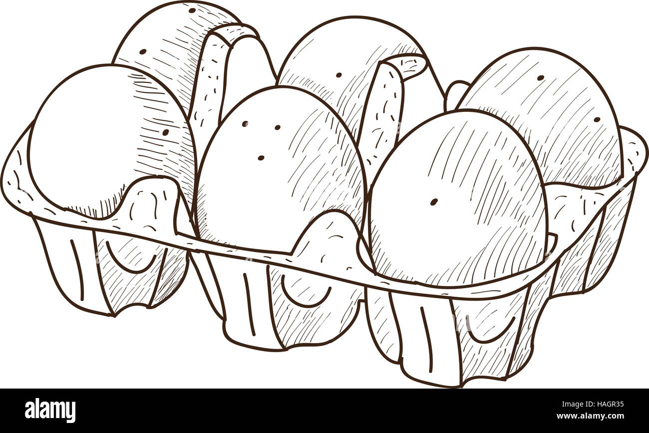 Isolated retro hand drawn half a dozen eggs vector illustration stock