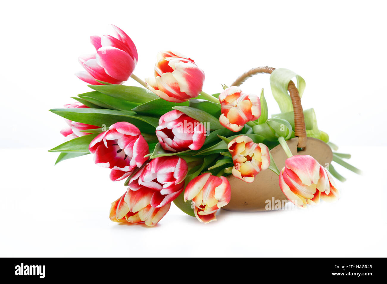 Tulip in wooden basket Stock Photo