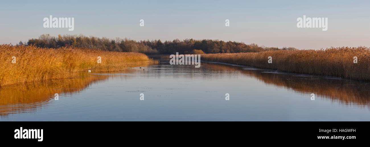 Newport Wetlands RSPB Reserve, Gwent.  Stitched panoramic image. Stock Photo