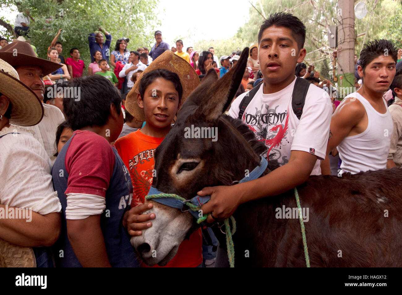Second place winner of the traditional donkey race at the Donkey fair (Feria del burro) in Otumba, Mexico Stock Photo