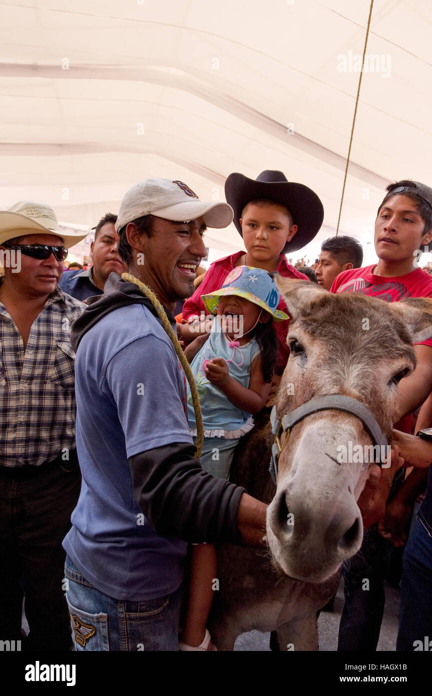 Winners of the traditional donkey race at the Donkey fair (Feria del burro) in Otumba, Mexico Stock Photo