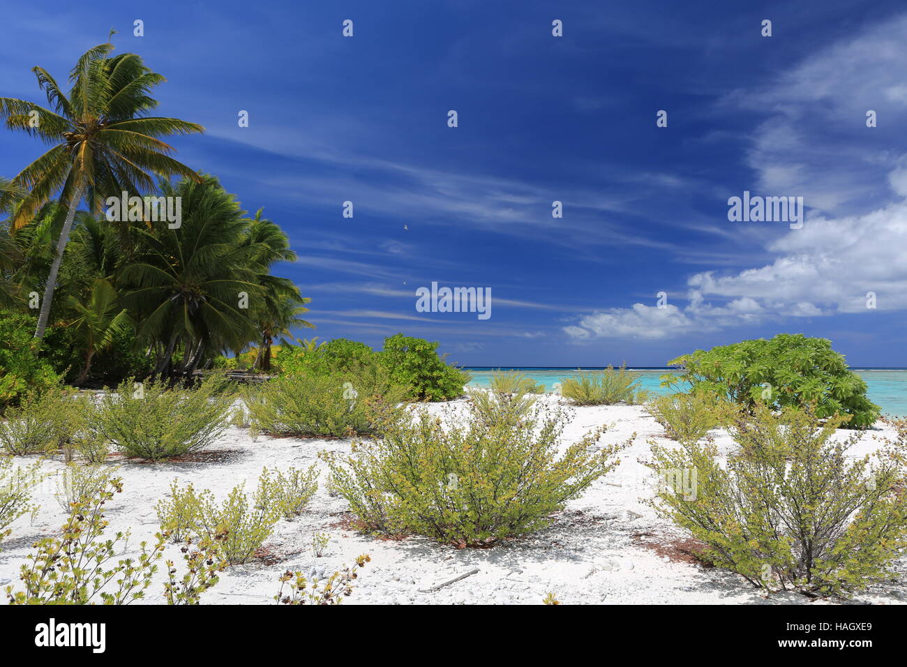 Pristine Tropical Beach On Christmas Kiritimati Island Kiribati