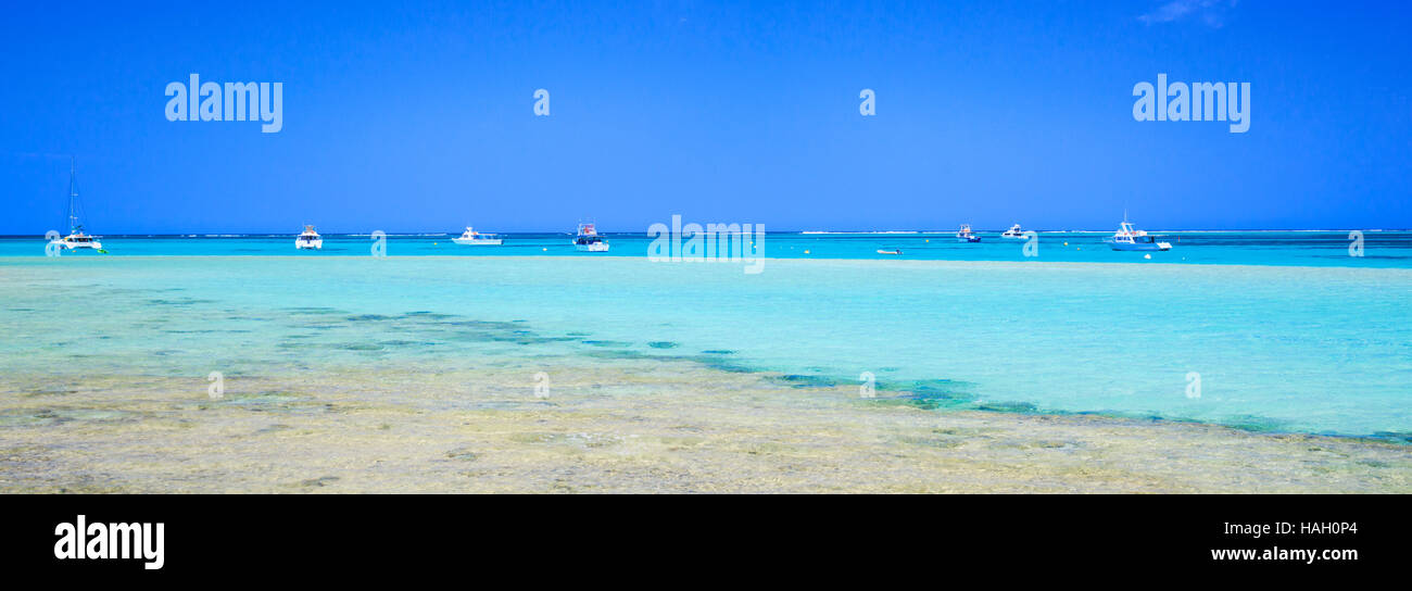 Head coral hires stock photography and images Alamy