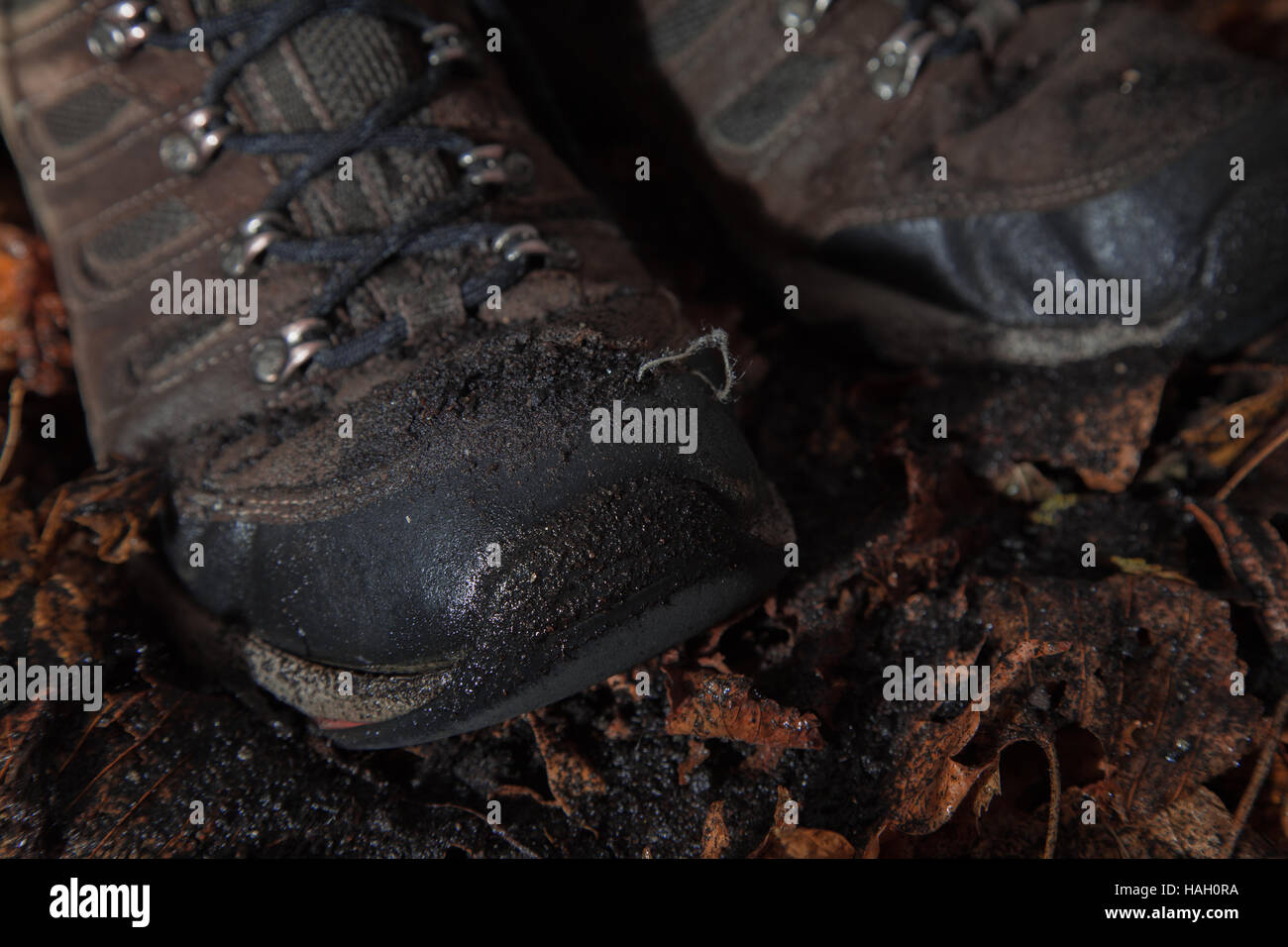Wet Walking Boots with Autumn Leaves Stock Photo Alamy