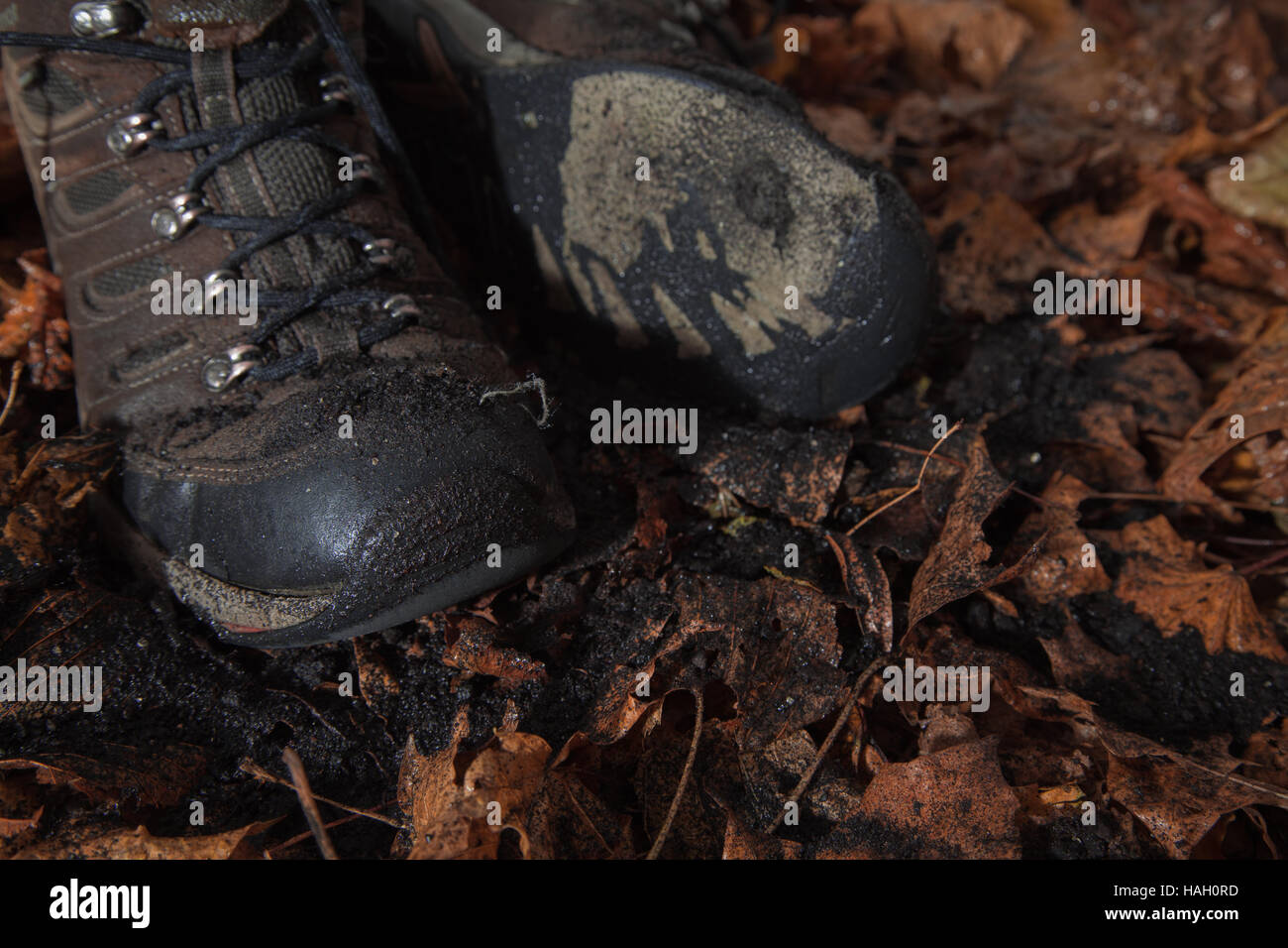 Wet Walking Boots with Autumn Leaves Stock Photo Alamy