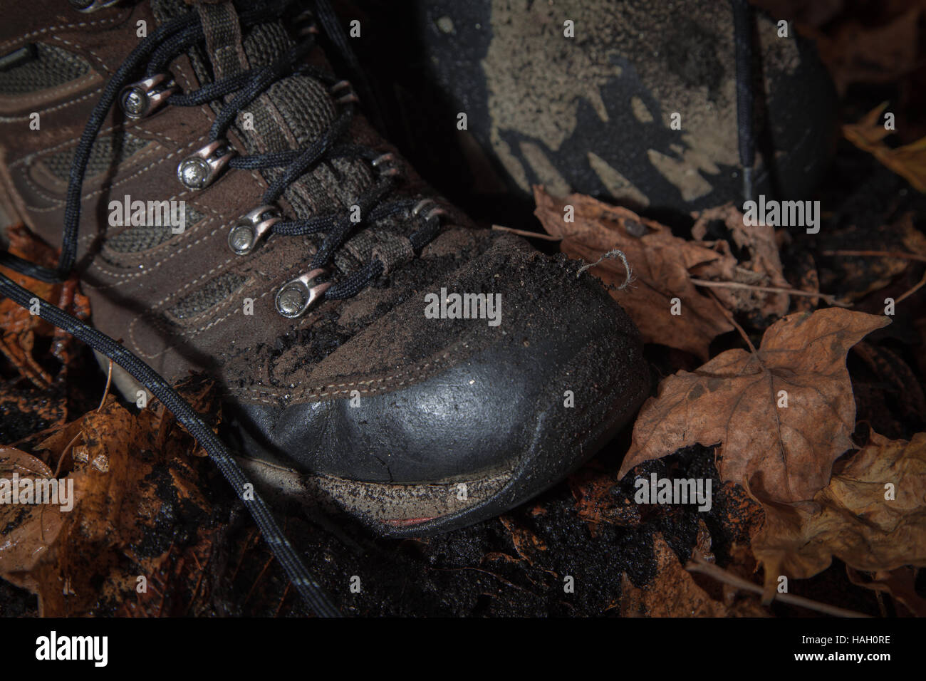 Wet Walking Boots with Autumn Leaves Stock Photo Alamy