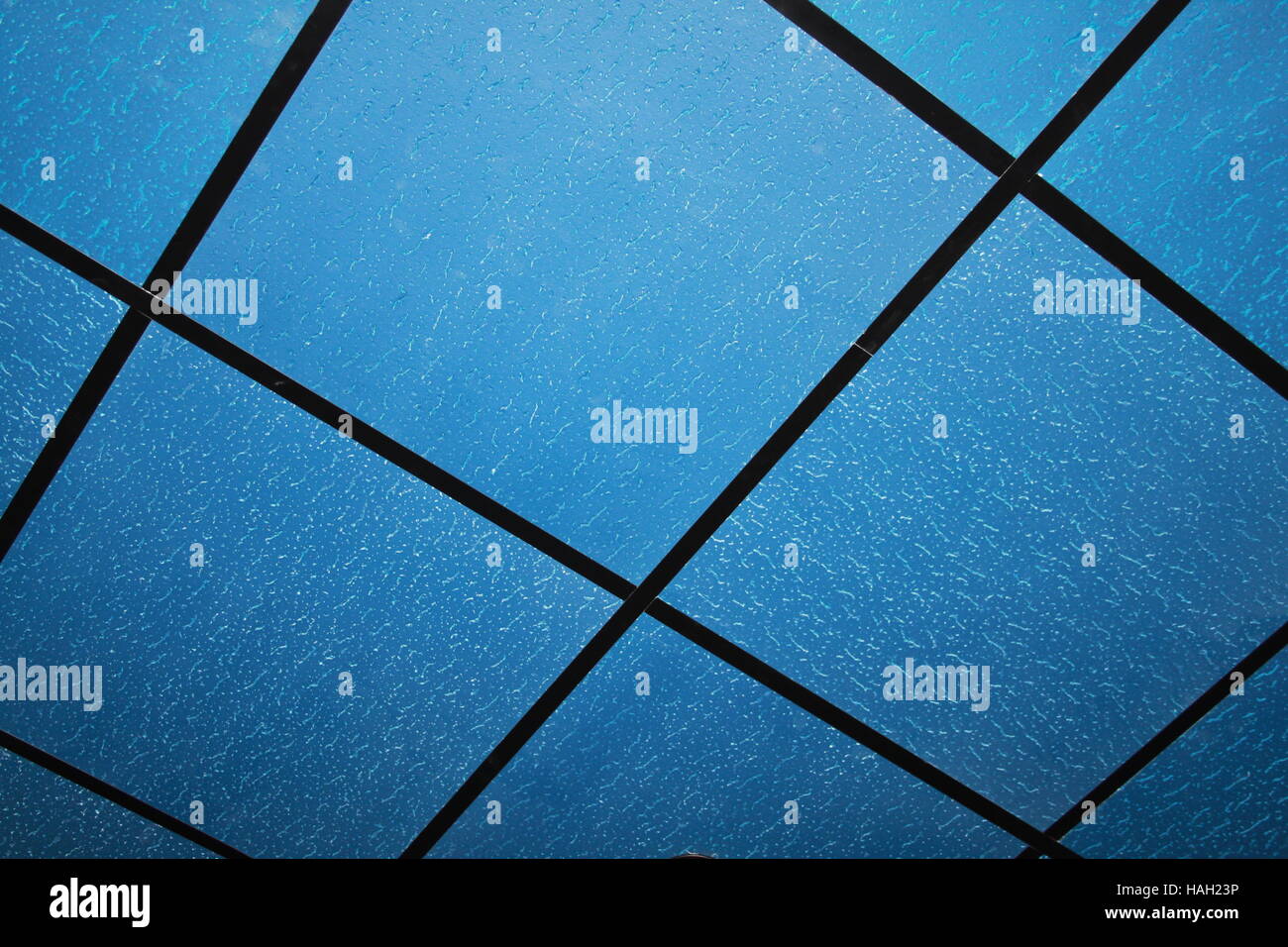 Blue Ceiling Tiles Separated By A Grid Of Black Dividers
