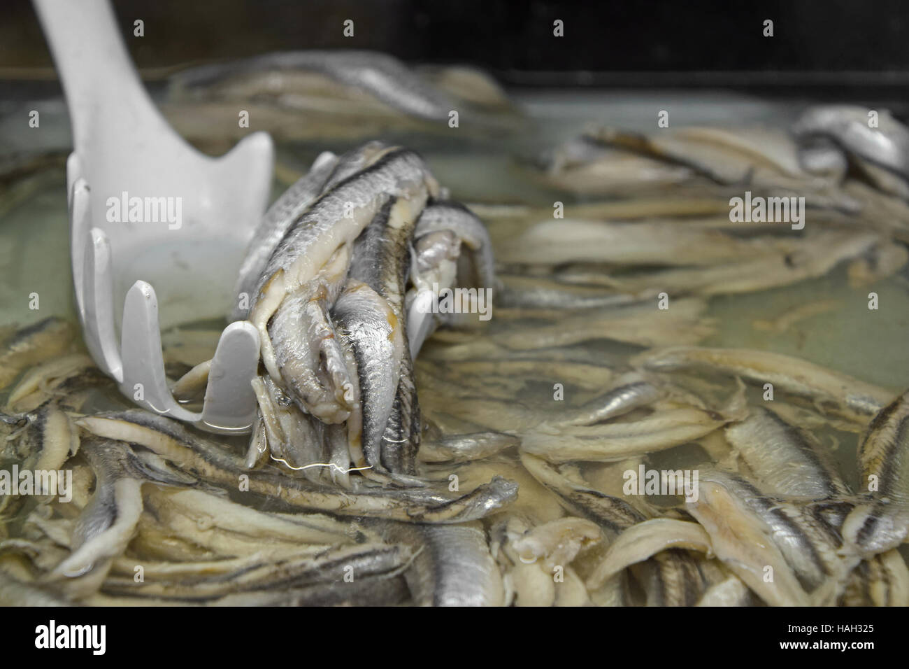Marinated pickled Spanish anchovy fish fillets in brine with scoop in