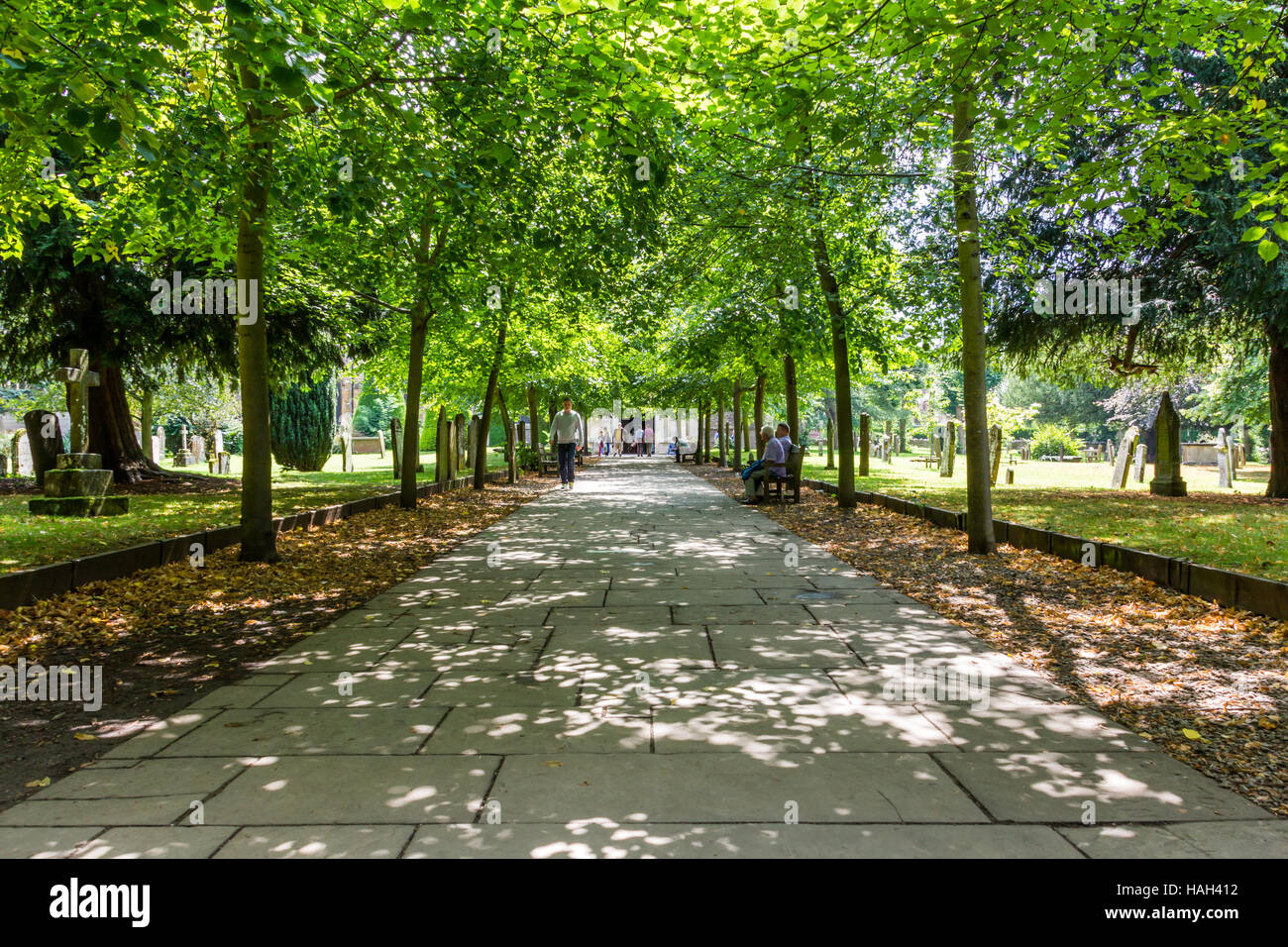 A woodland path leading up to gardens Stock Photo - Alamy