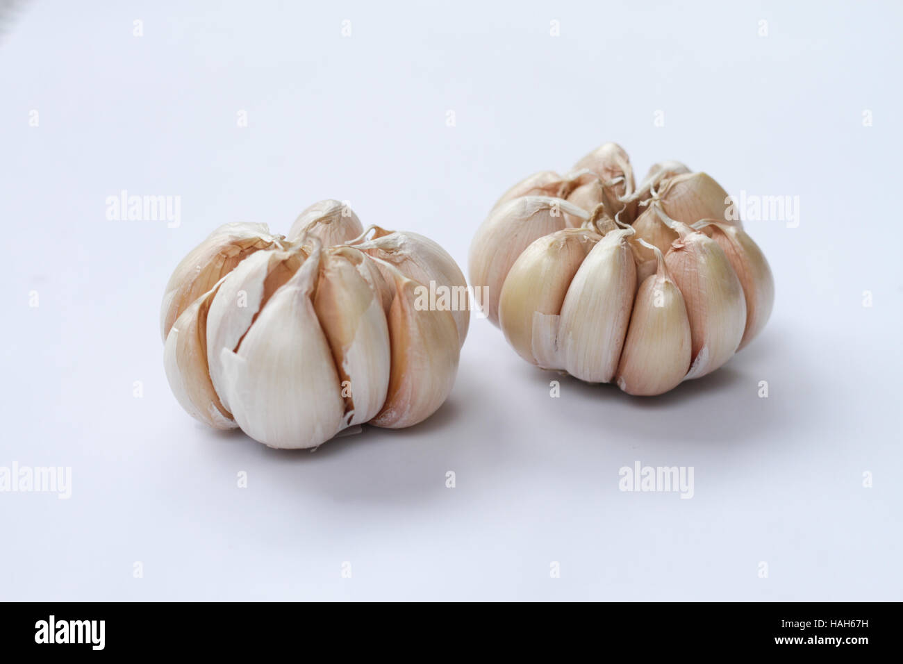 Fresh garlic isolated on white background Stock Photo - Alamy