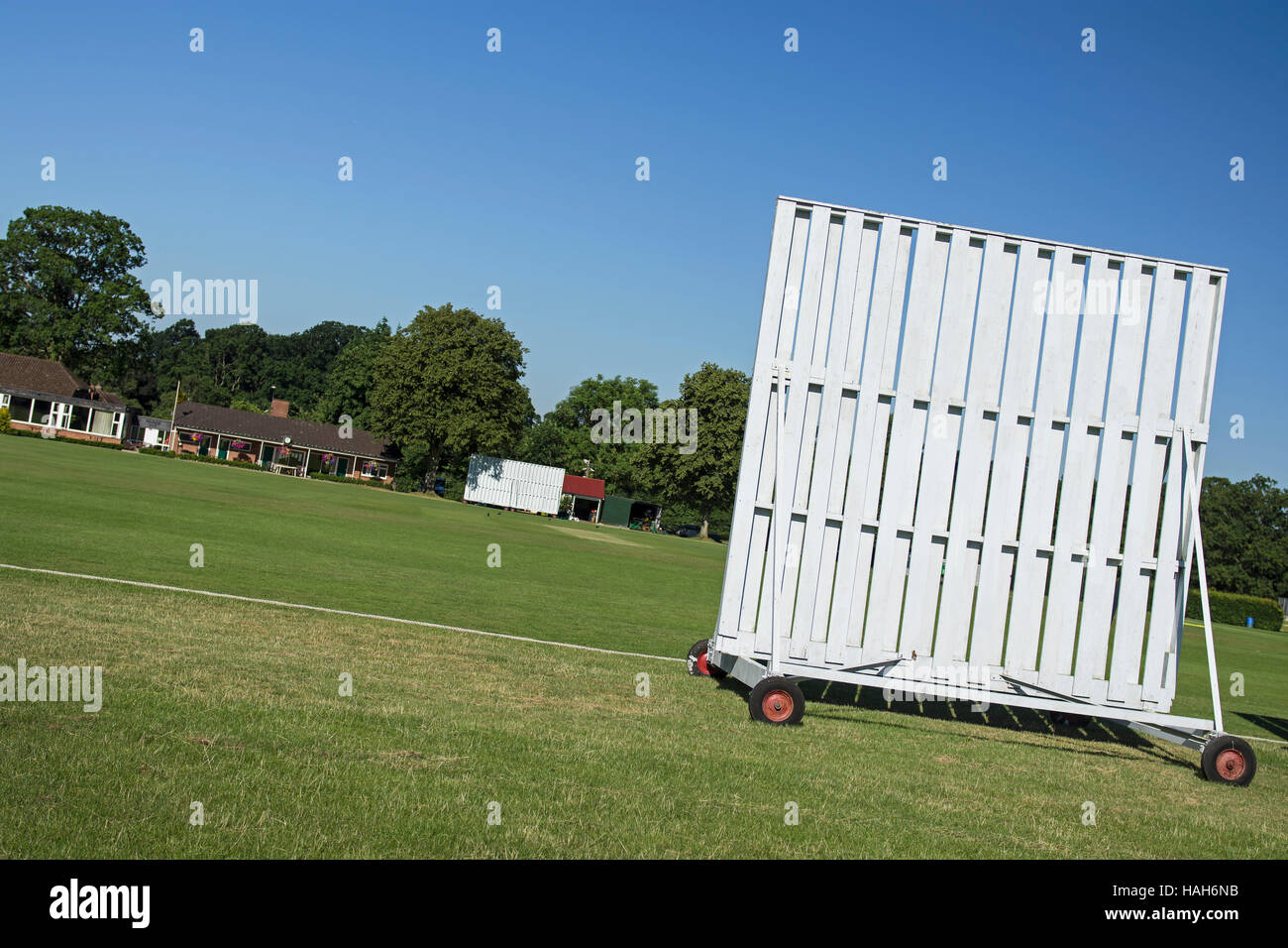 Cricket pitch Stock Photo