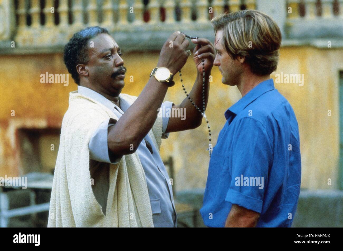 The serpent and the rainbow year