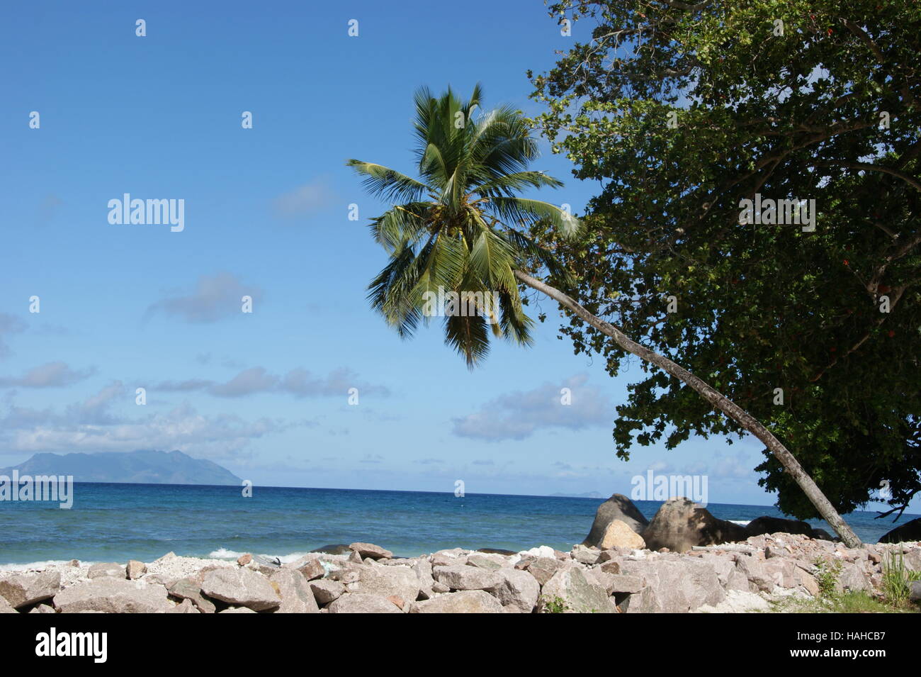 Tropical beach, Mahe island, Seychelles,  Africa, Indian Ocean Stock Photo
