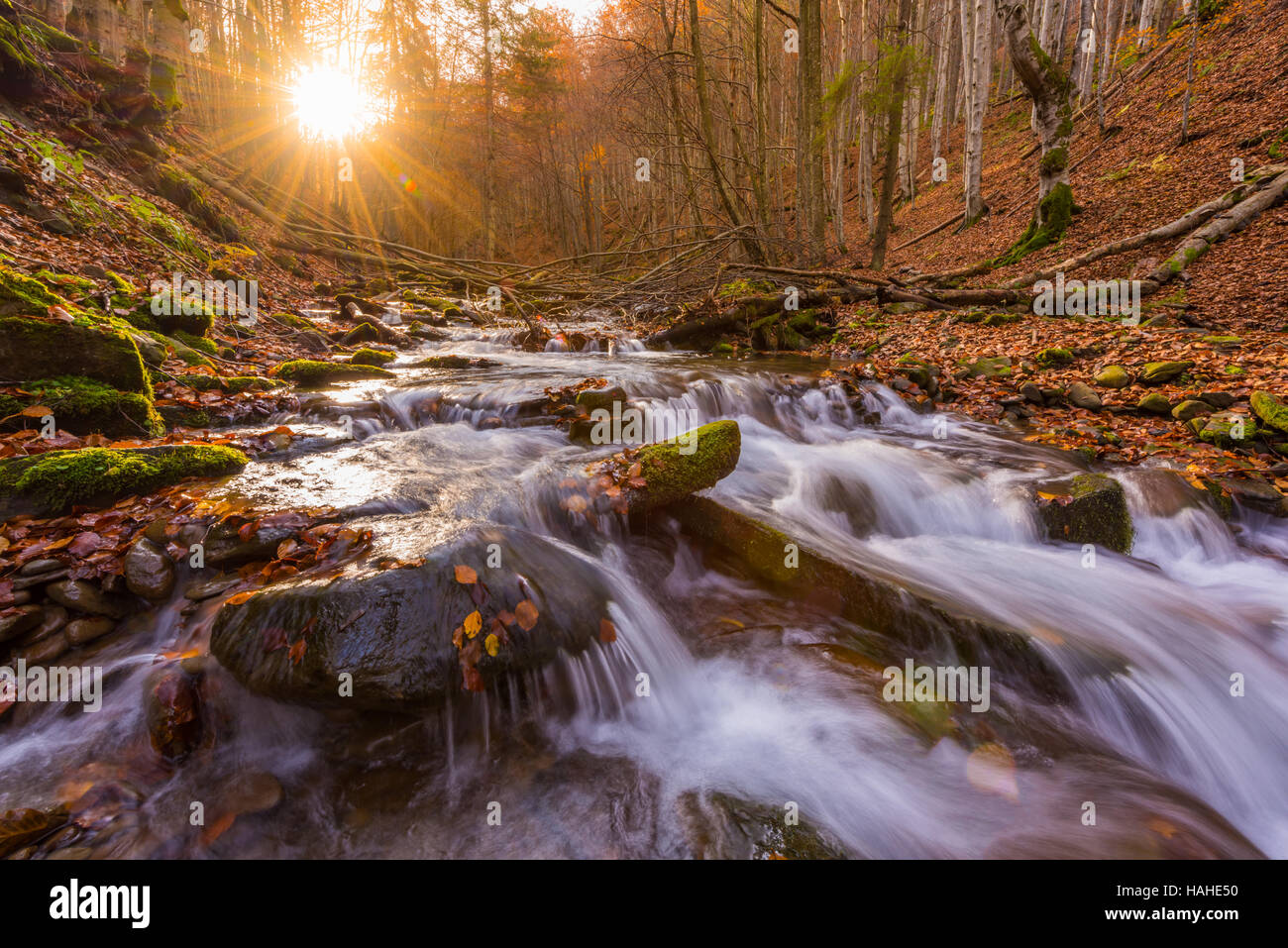 Beauty waterfall hi-res stock photography and images - Alamy