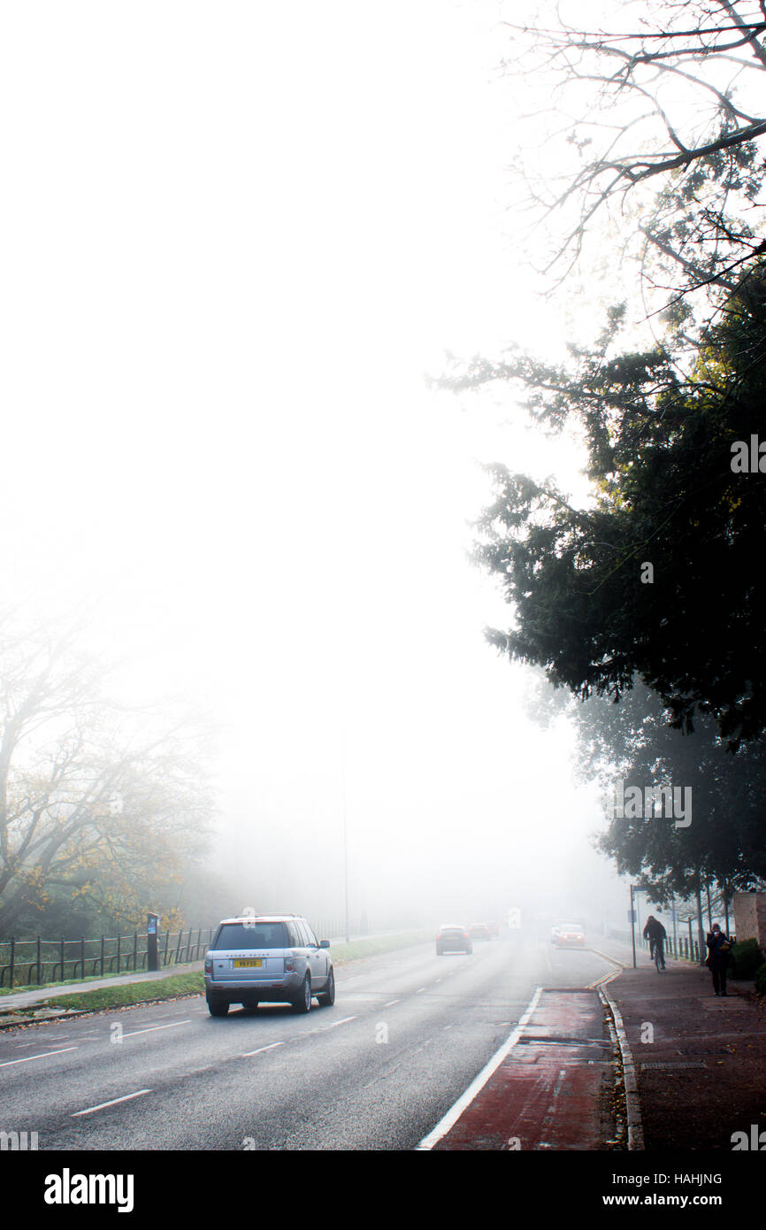 The Foggy Street Stock Photo - Alamy
