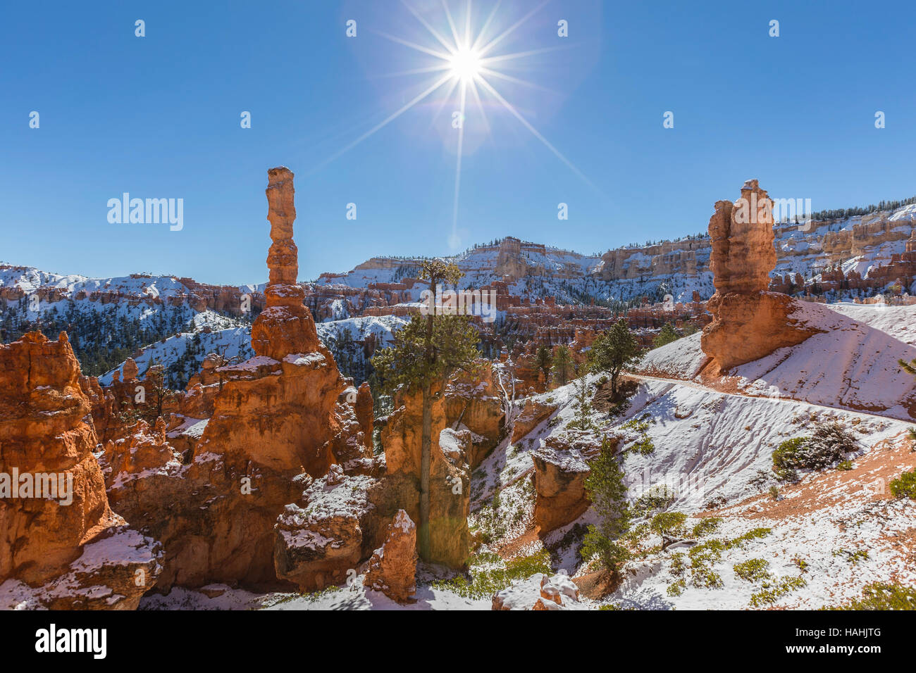 Winter morning in the Hoodoos at Bryce Canyon National Park in Southern Utah. Stock Photo