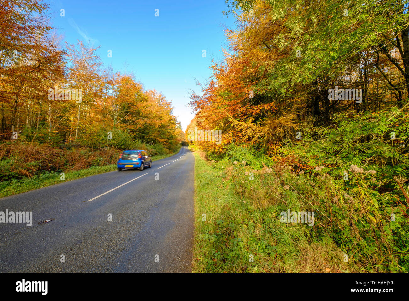 Country road in Hewelsfield Gloucestershire with trees in autumn foliage and blue car on road.Hewlsfield is close to Wye Valley Stock Photo