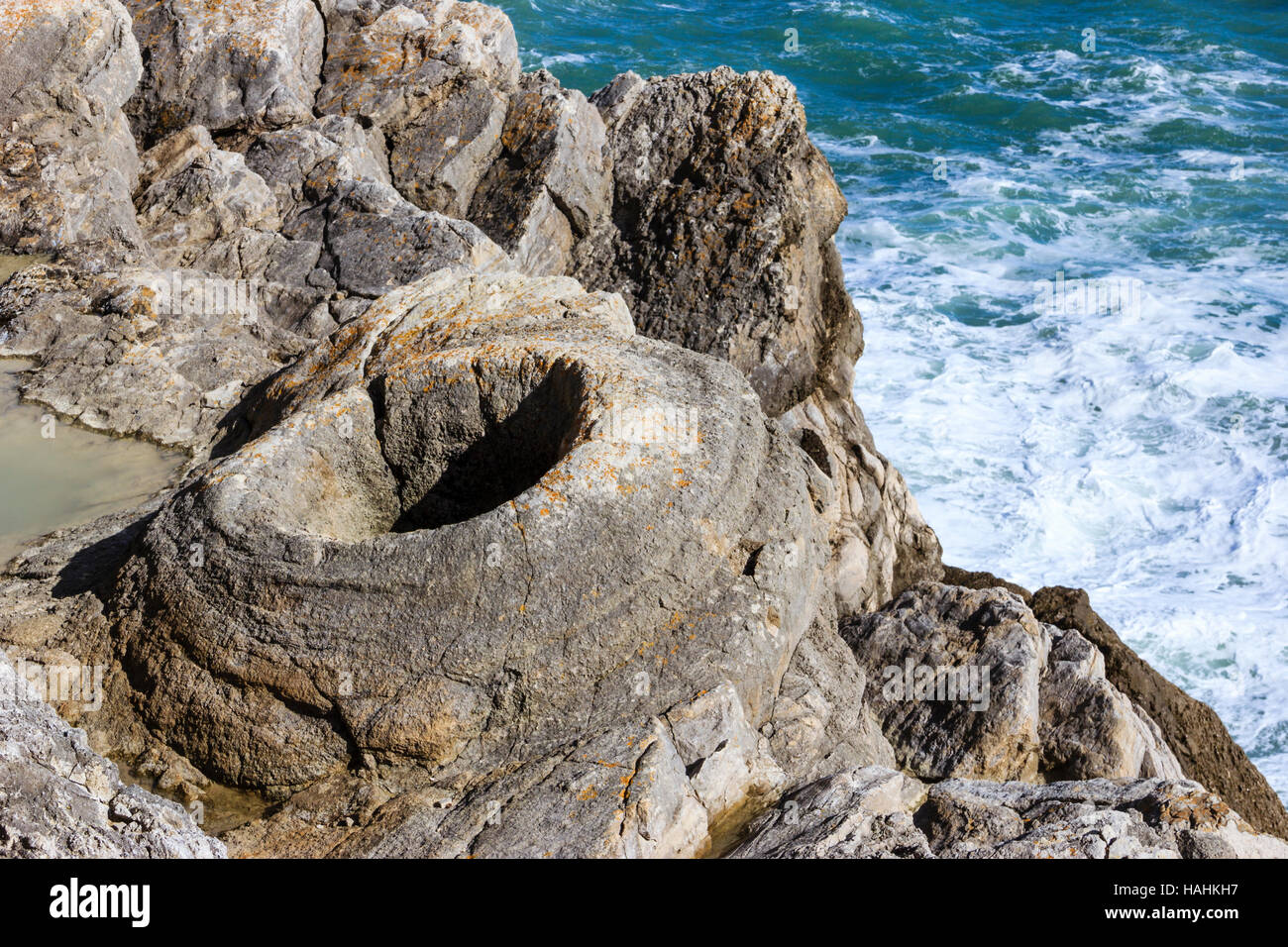 The Fossil Forest, the remains of an ancient submerged forest from the Jurassic era in Dorset, England, UK Stock Photo