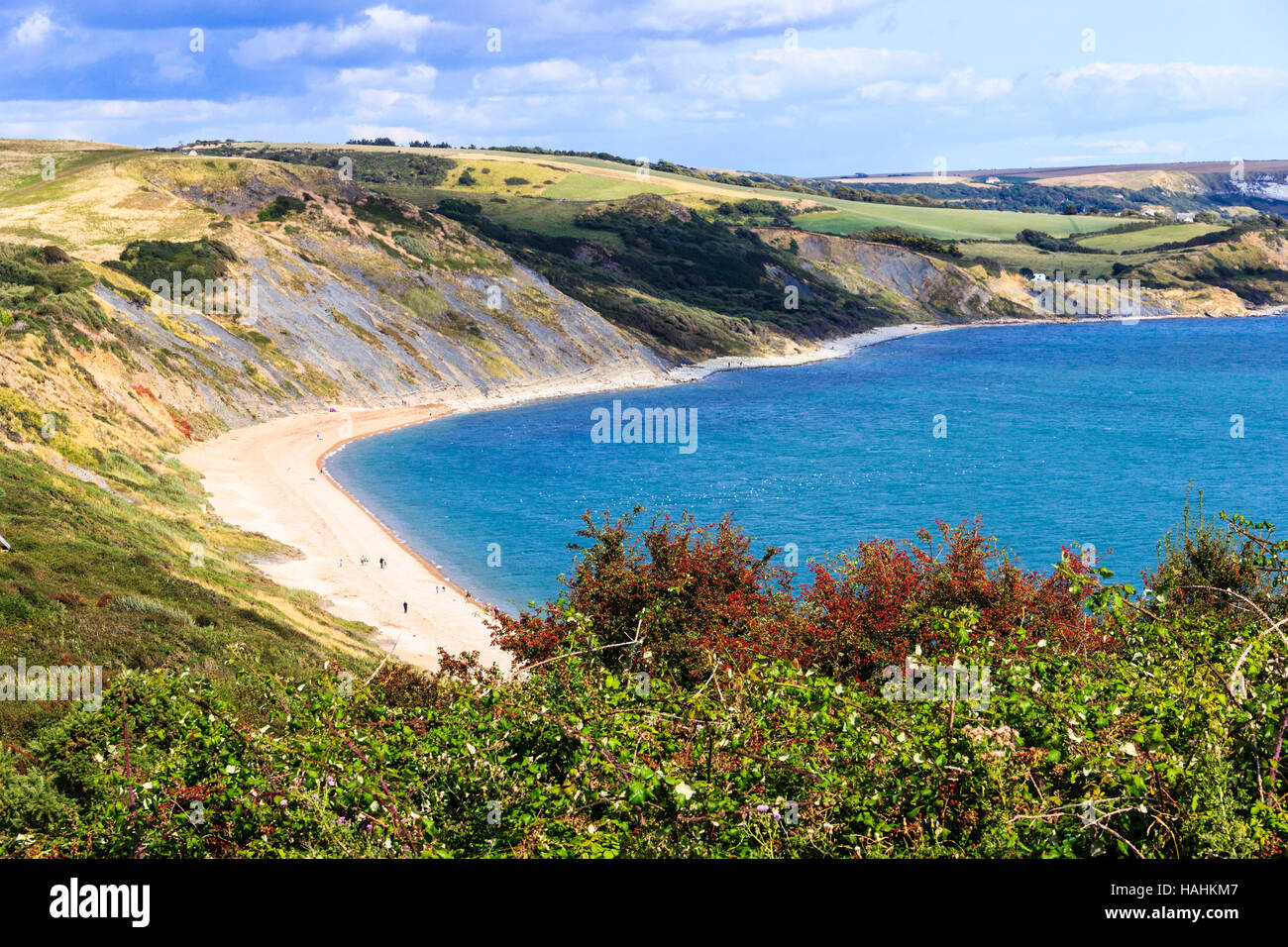 Cliff top view from the South West Coast Path near Bowleaze Cove