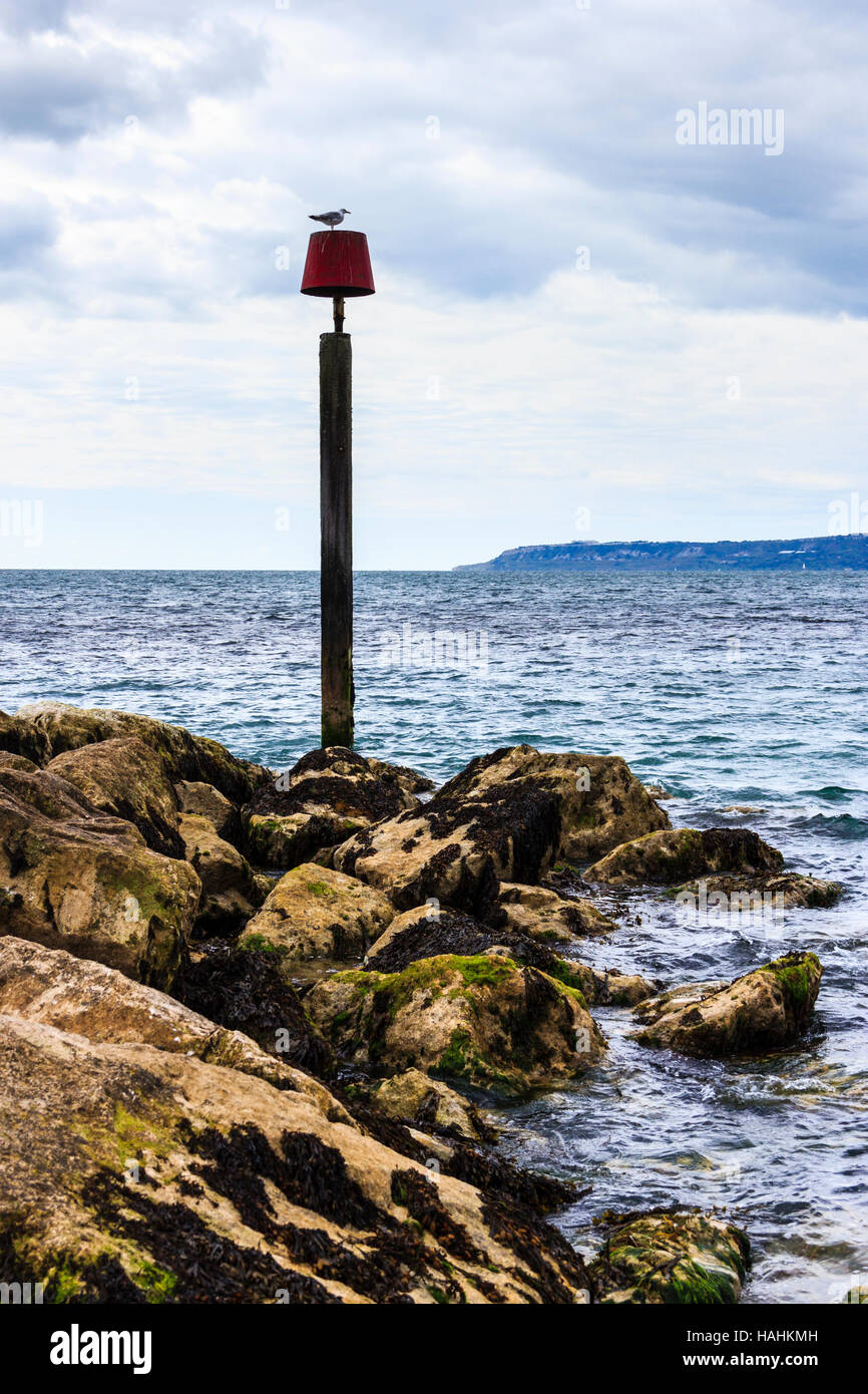 Rocky promontory at Ringstead Bay, a seagull perched on the warning marker, Dorset, England, UK Stock Photo