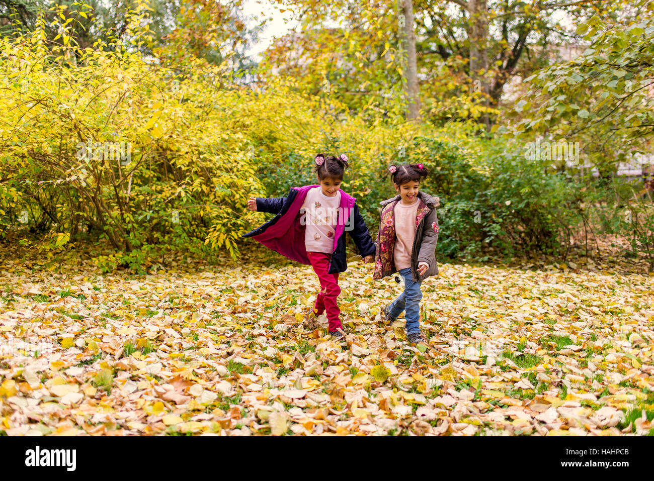 Two little girls having fun in the autumn park Stock Photo - Alamy