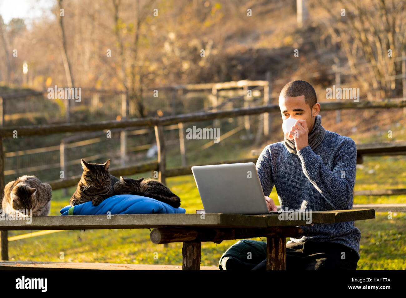 freelance business man drinking his coffee and working at his laptop outdoors in good company of three cats Stock Photo
