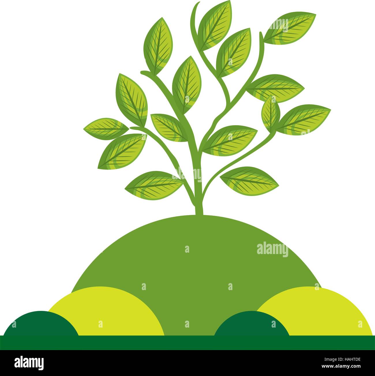 leafs plant ecology symbol vector illustration design Stock Vector ...