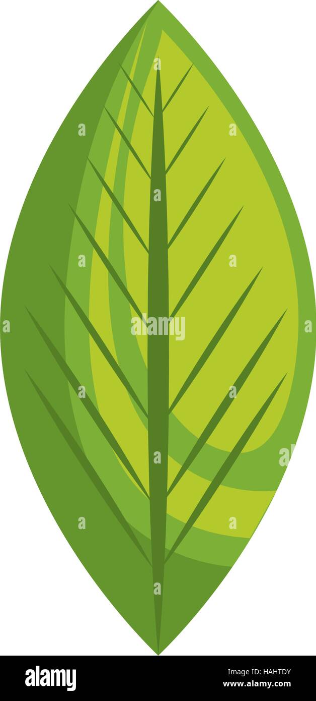 leafs plant ecology symbol vector illustration design Stock Vector ...