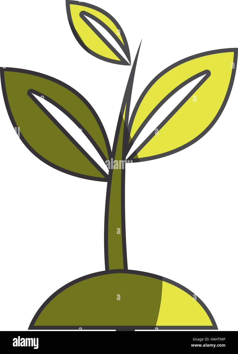 leafs plant ecology symbol vector illustration design Stock Vector ...