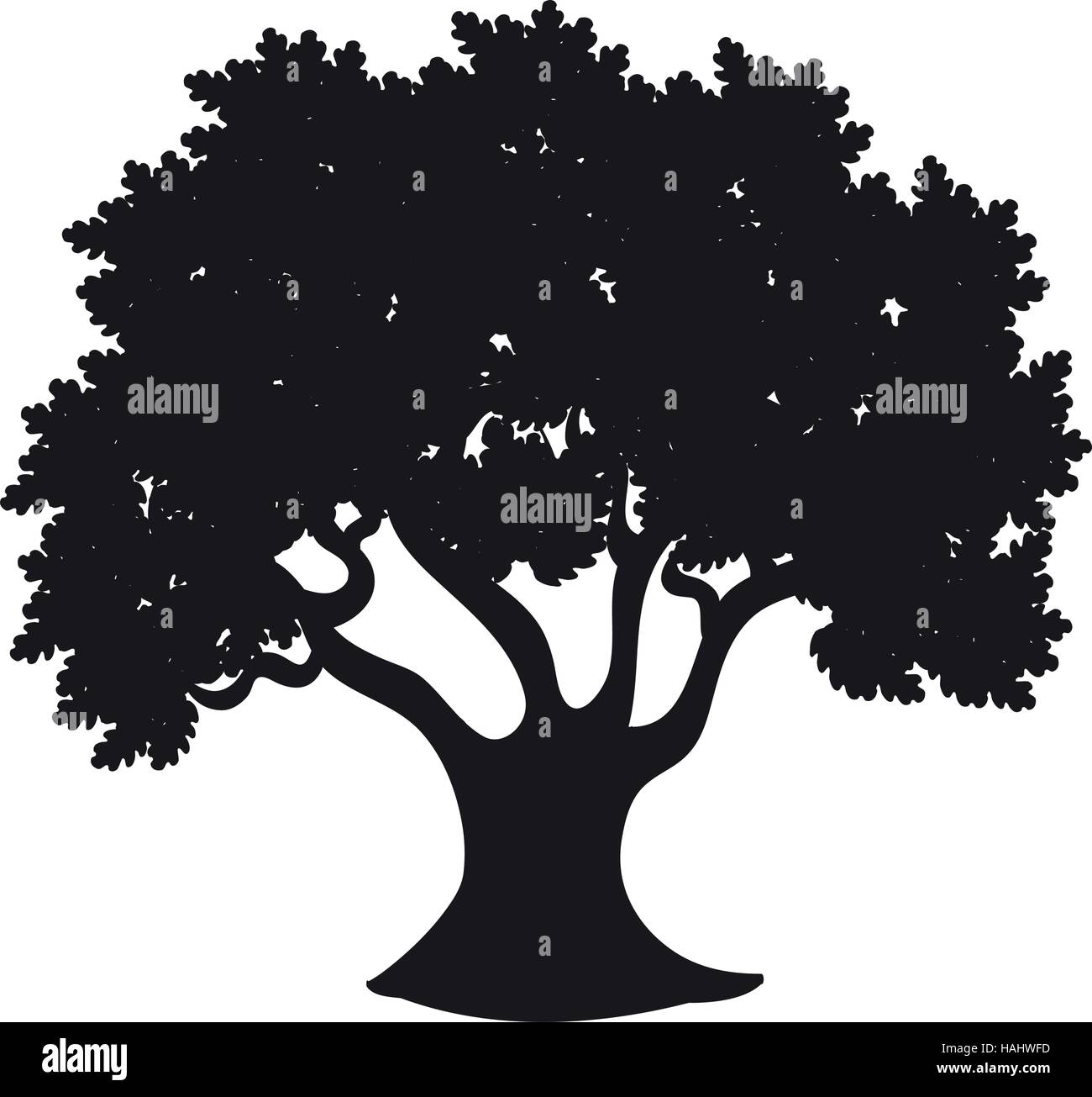 tree plant isolated icon vector illustration design Stock Vector Image ...