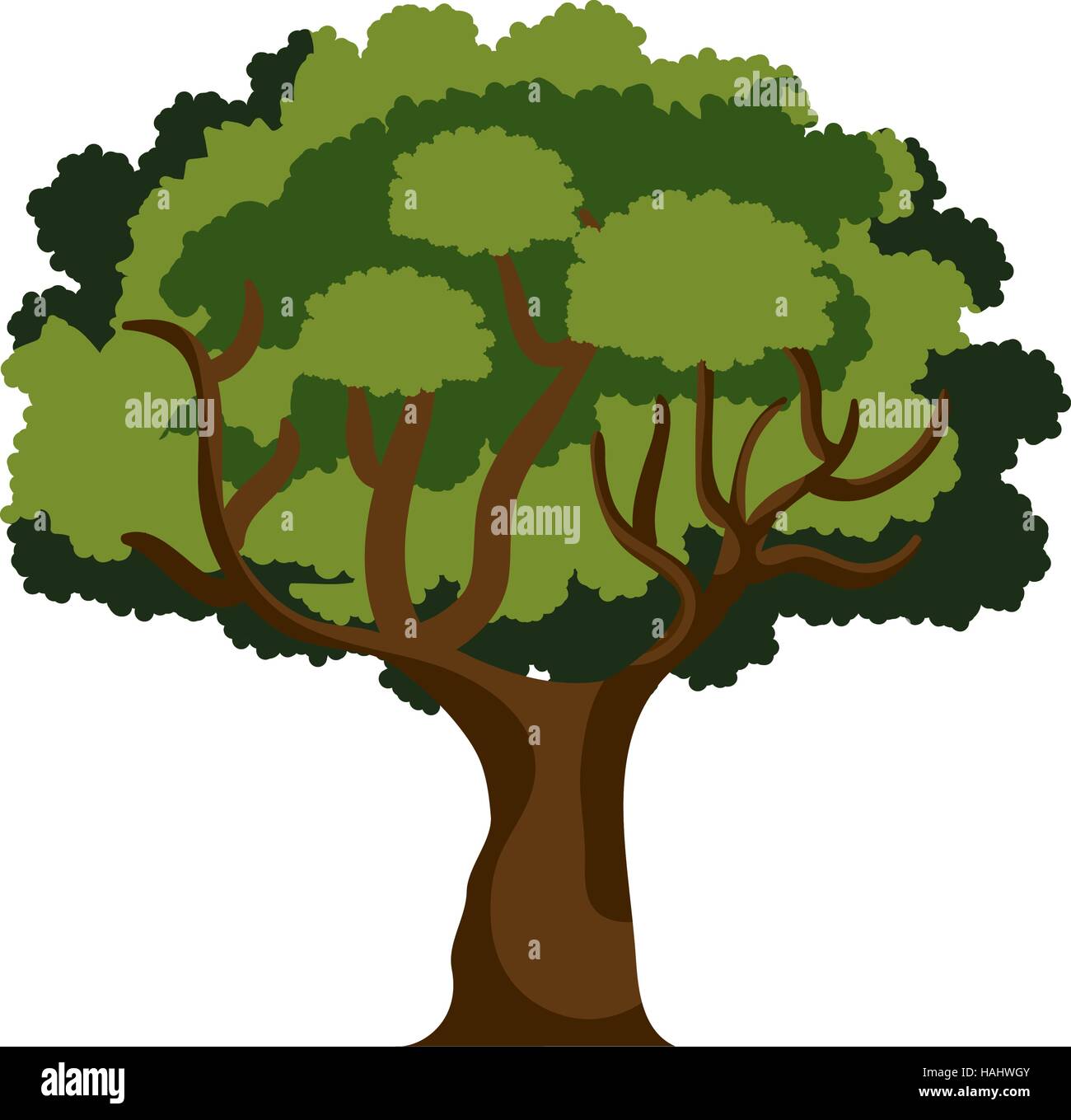 tree plant isolated icon vector illustration design Stock Vector Image ...