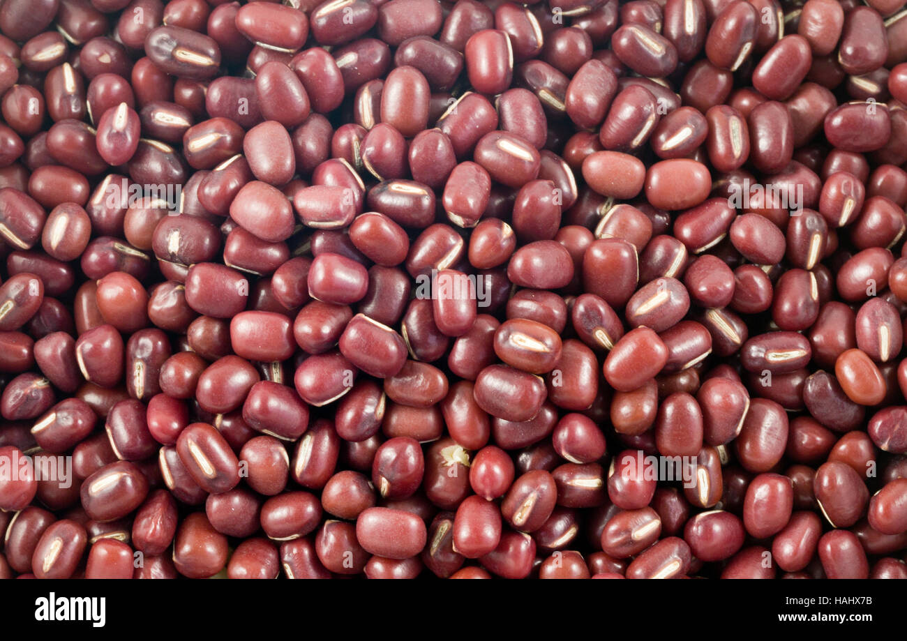 The adzuki bean, Vigna angularis, popular in Japanese cooking is an annual  vine widely grown throughout East Asia and the Himalayas for its small (5 m  Stock Photo - Alamy