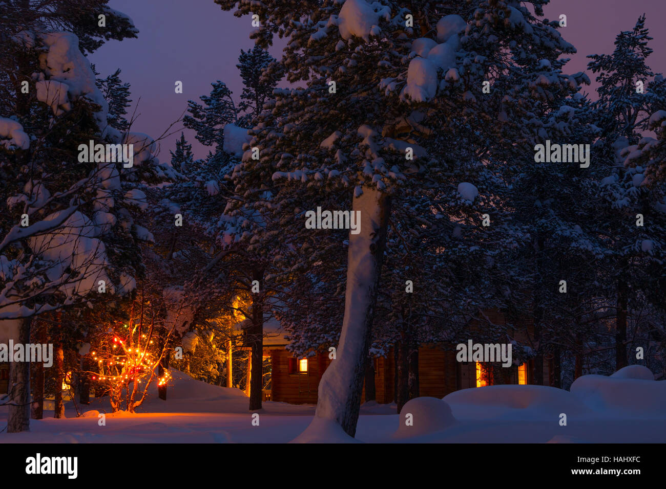 Evening in the winter woods. A lot of snow. A house with lights and garland on the tree Stock Photo