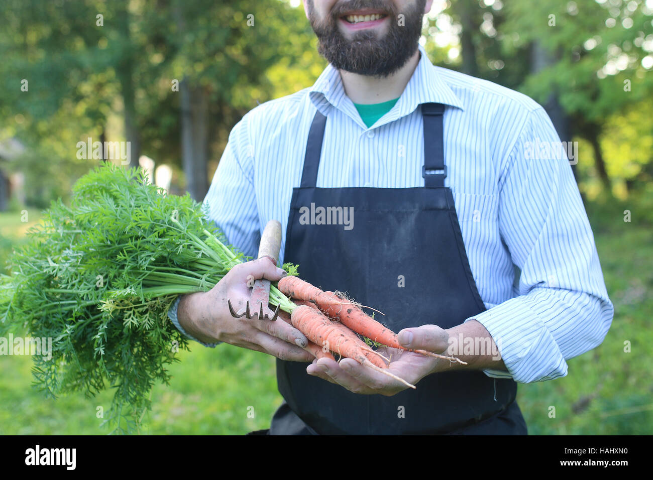gardener man holding carrot harvest in a hand Stock Photo - Alamy