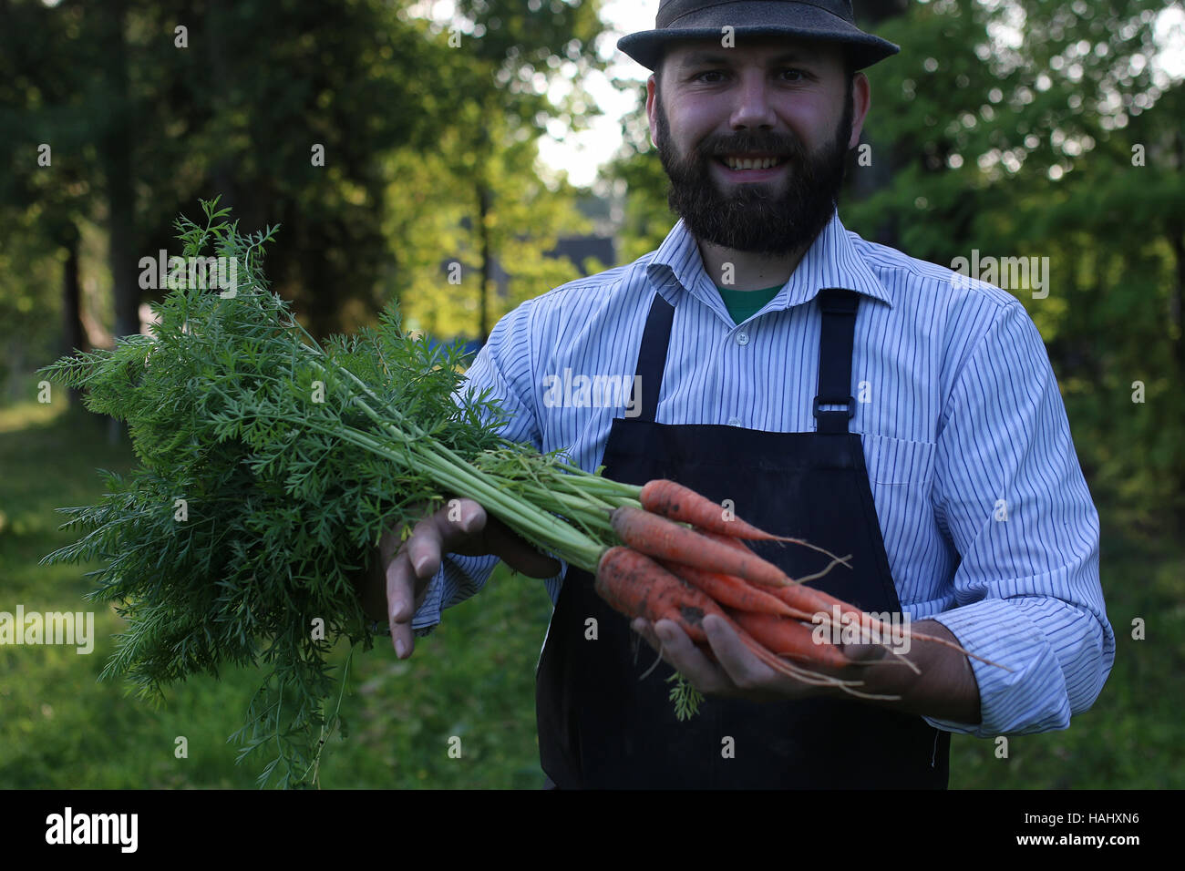 gardener man holding carrot harvest in a hand Stock Photo - Alamy