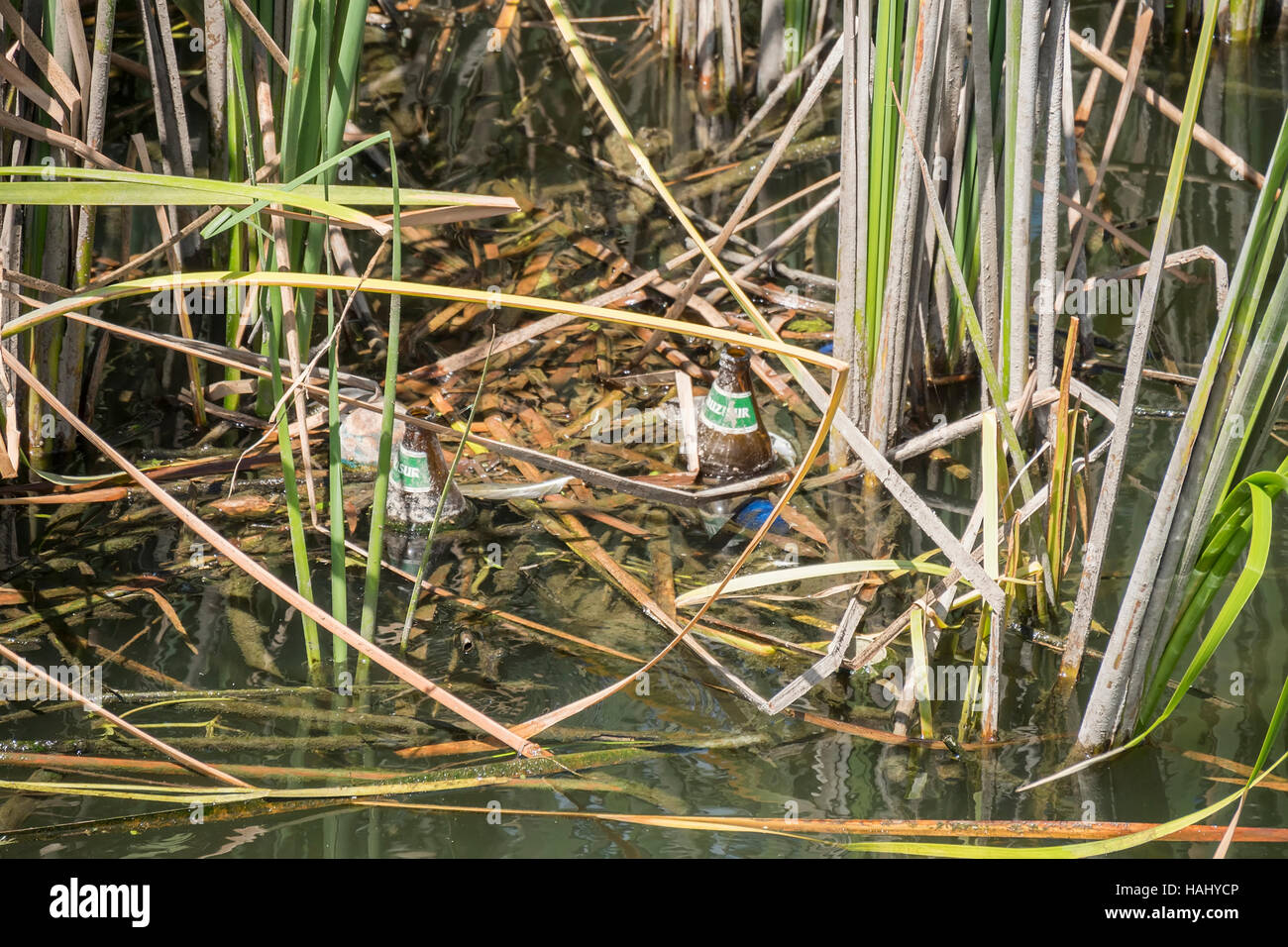 Water pollution, empty glass bottles, environment Stock Photo Alamy