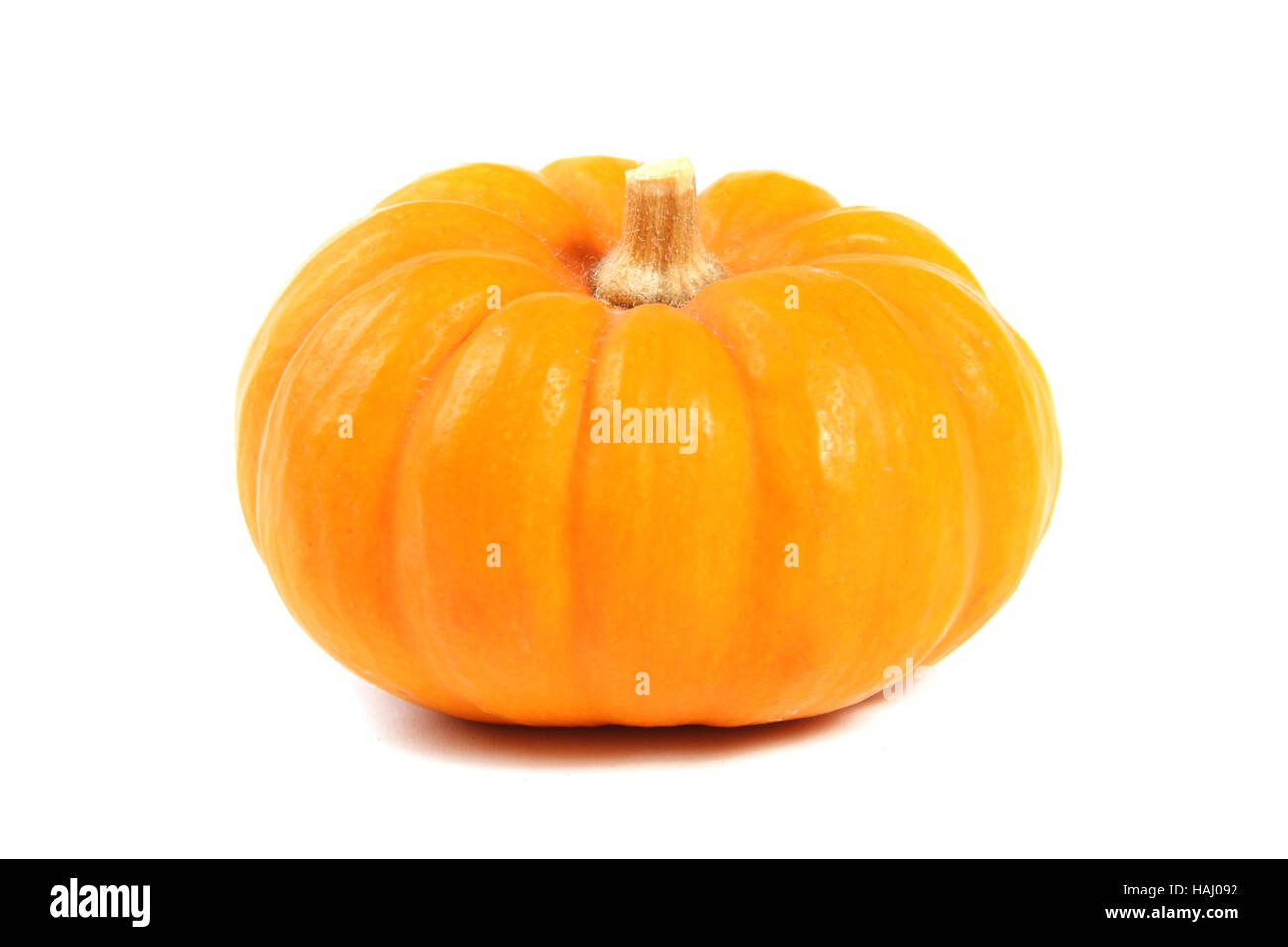 Pumpkin isolated on white background Stock Photo - Alamy