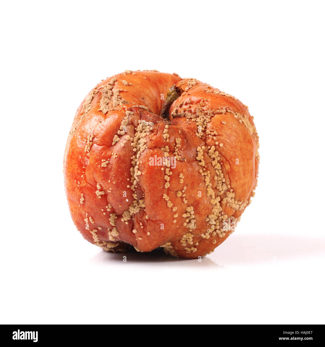 Rotten apple isolated on white background Stock Photo