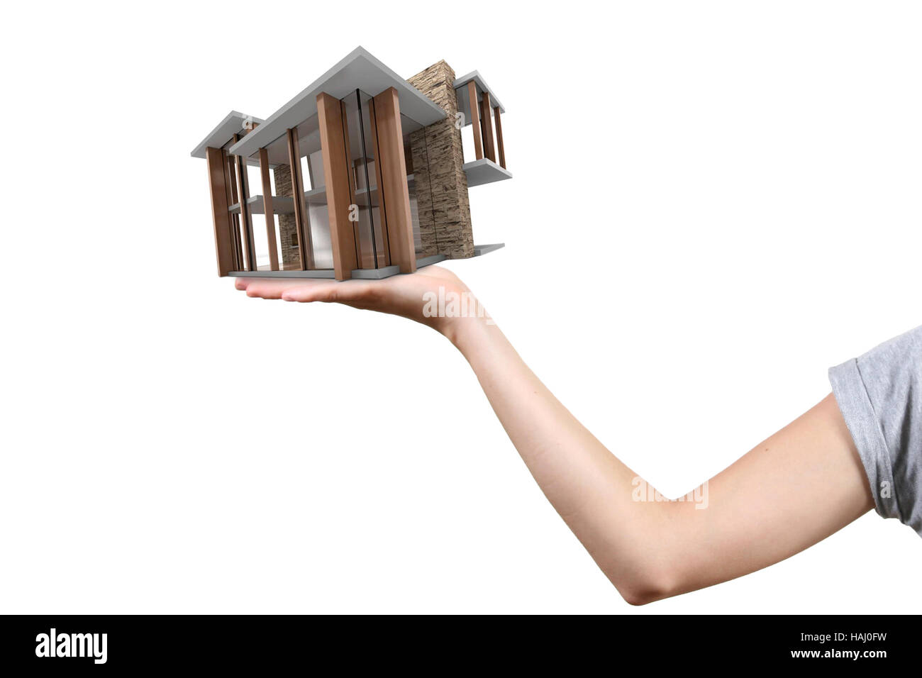 Concept of real estate business: house on the hand Stock Photo