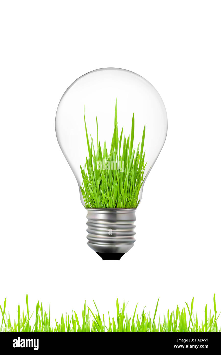 Green energy concept: light bulb with grass inside Stock Photo - Alamy