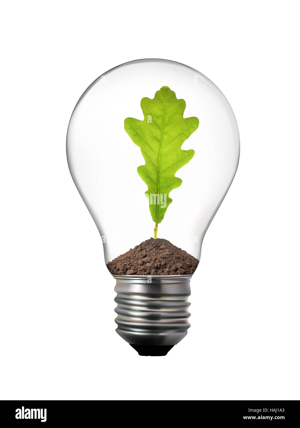 green energy concept - light bulb with oak leaf inside Stock Photo