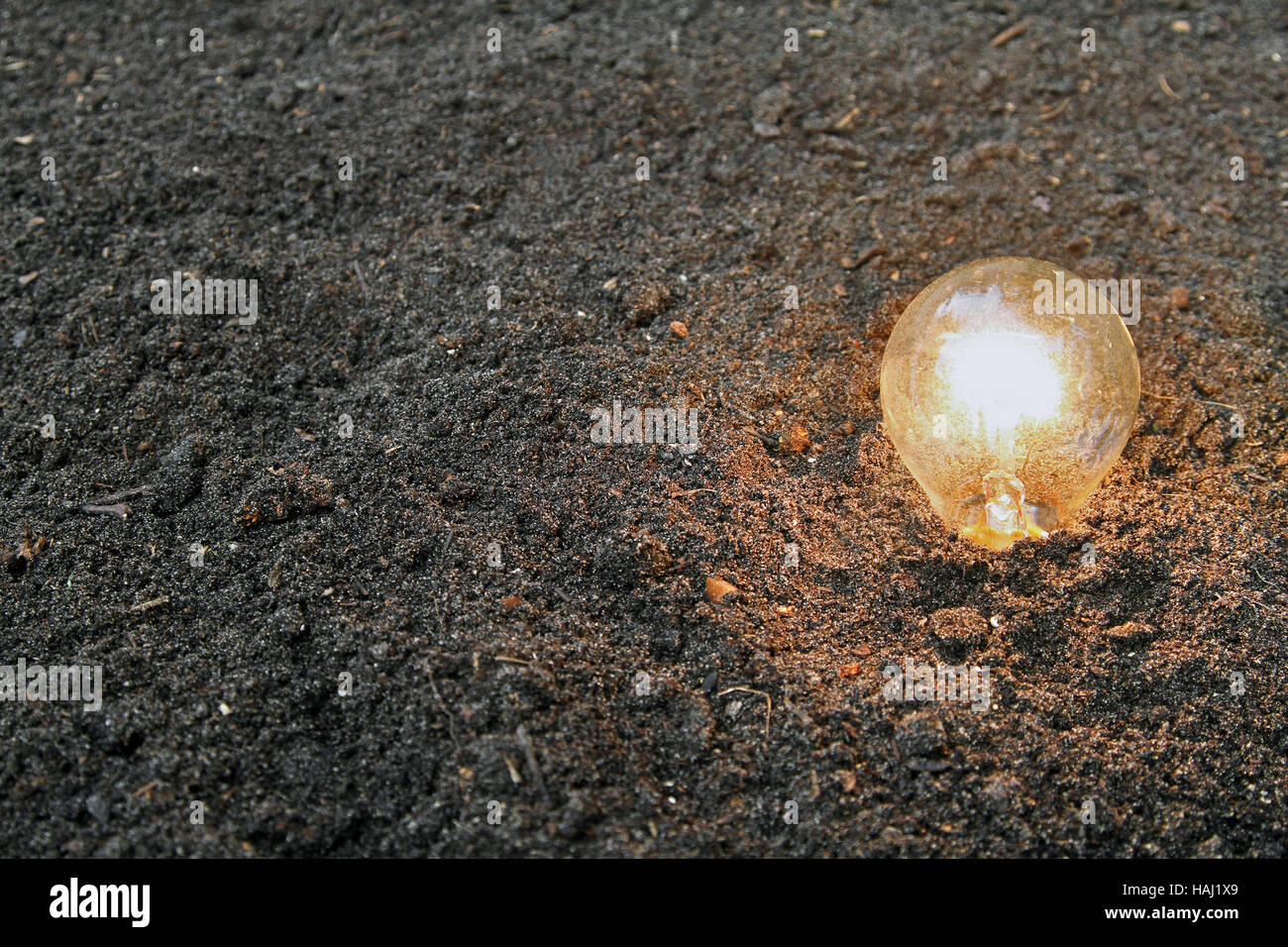 renewable energy - light bulb planted in soil Stock Photo
