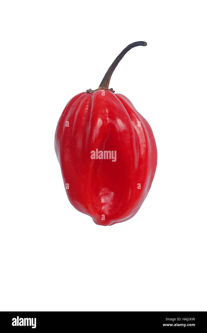 Jamaican hot pepper Stock Photo Alamy