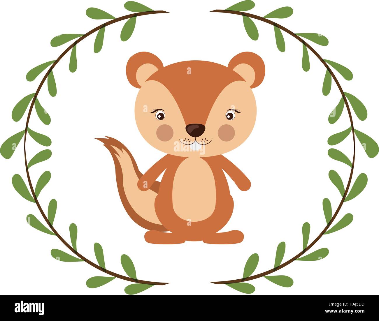 Isolated squirrel cartoon design Stock Vector Image & Art Alamy
