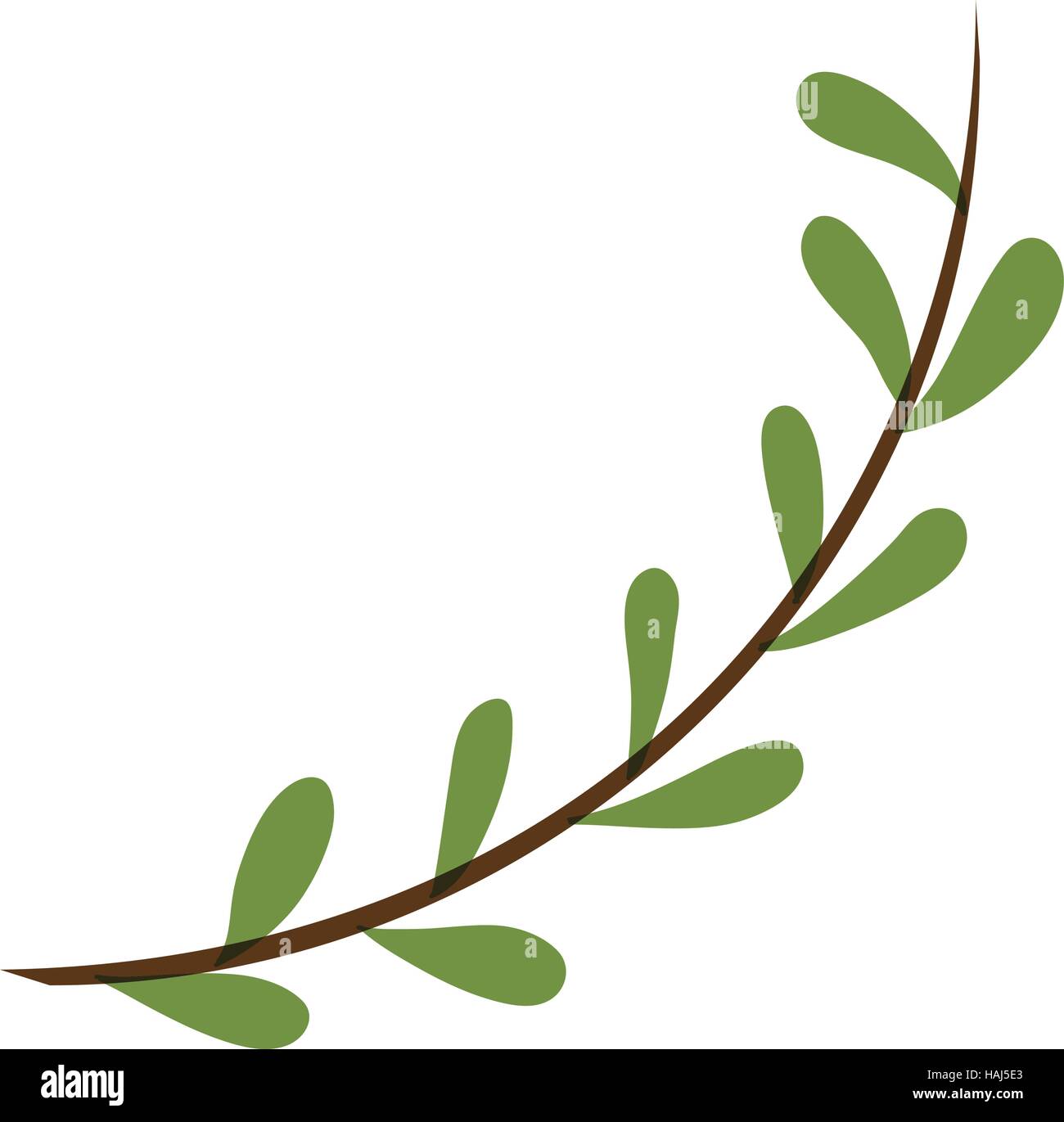 Isolated leaves design Stock Vector Image & Art - Alamy