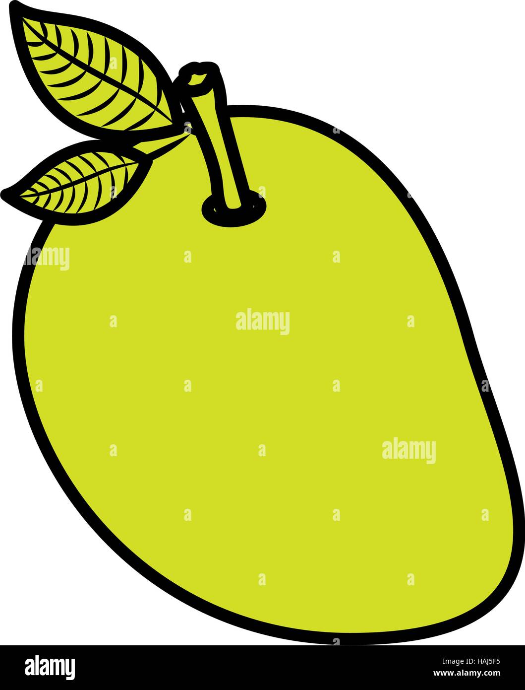 Isolated mango fruit design Stock Vector Image & Art Alamy