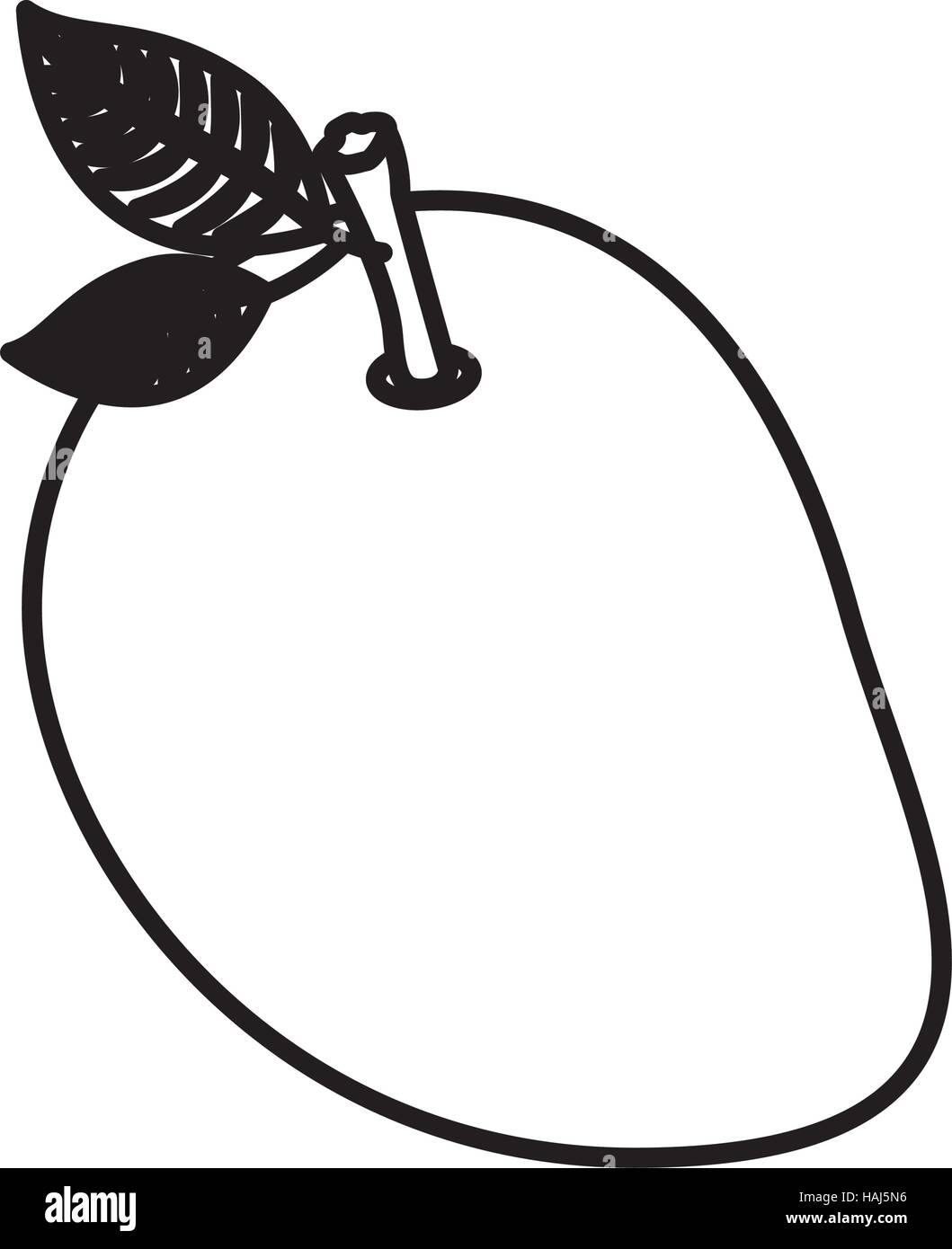 Isolated mango fruit design Stock Vector Image & Art Alamy